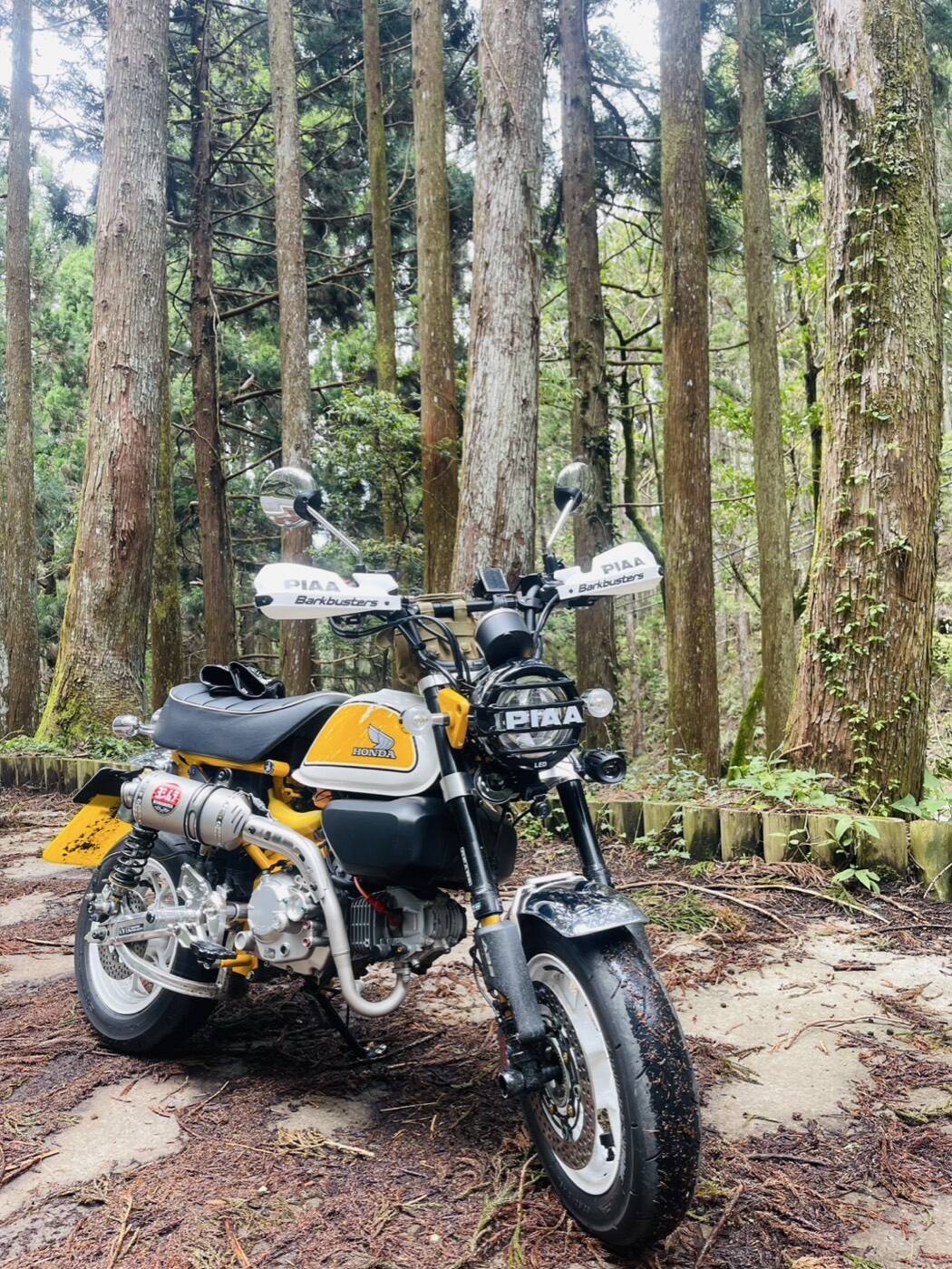HONDA MONKEY 125 PIAA 輔助燈實裝（8/10）